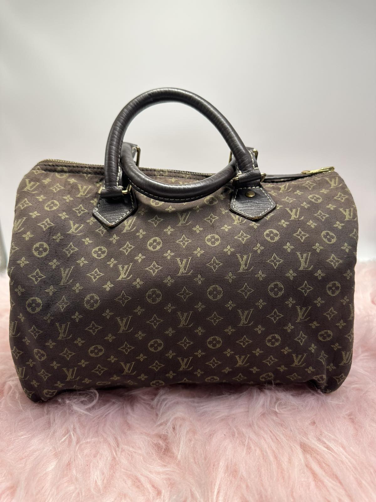 Louis Vuitton Monogram Speedy Canvass 30